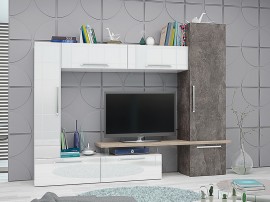 Секция Рома